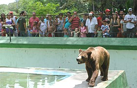 Onze animais morrem envenenados em zoológico de Pernambuco
