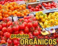 Conheça os benefícios de consumir alimentos orgânicos